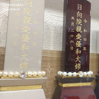 画像413