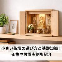 画像546