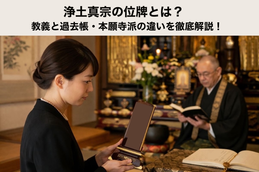 画像556