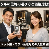 画像558