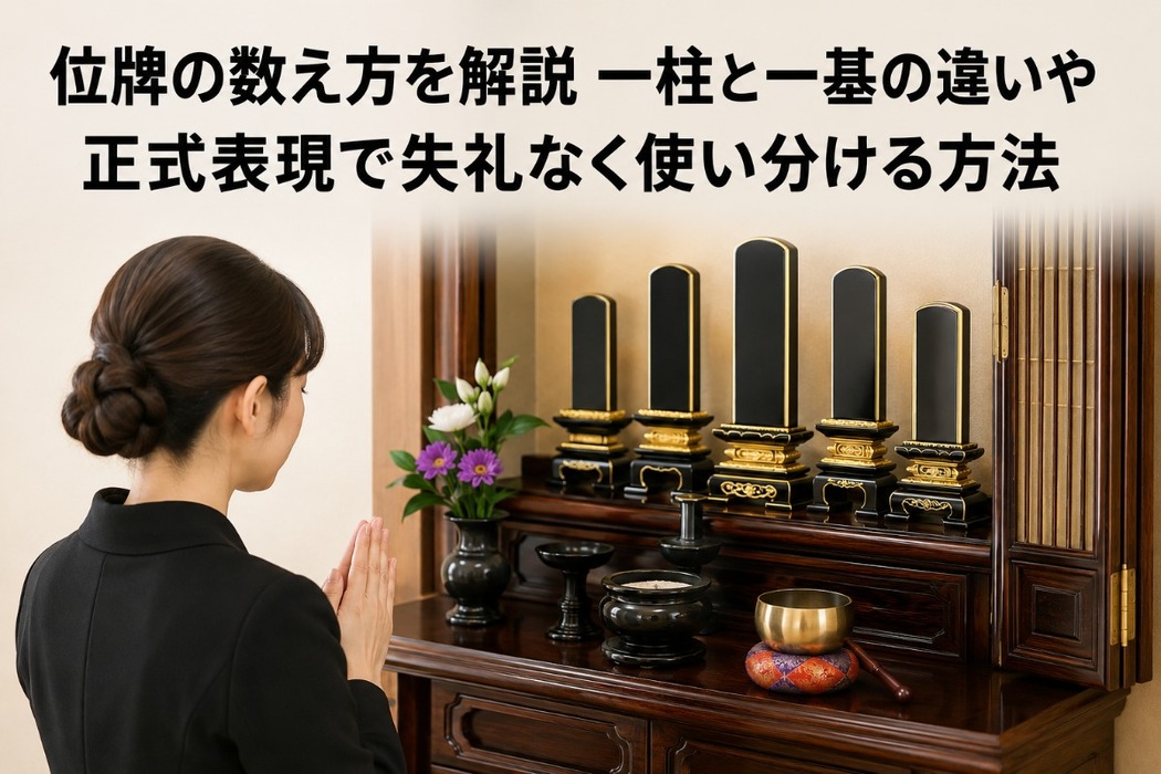 画像627